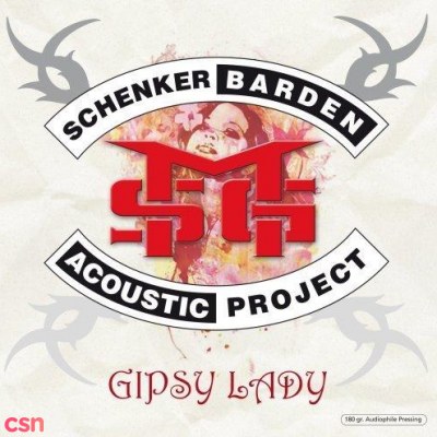 Schenker Barden Acoustic Project