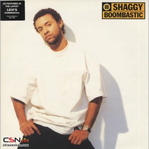 Shaggy