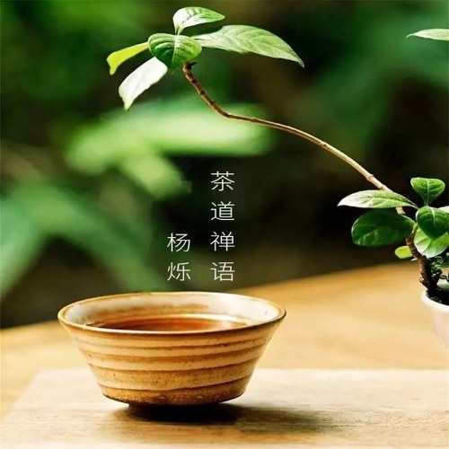 Trà Đạo Thiền Ngữ (茶道禅语) (Single)