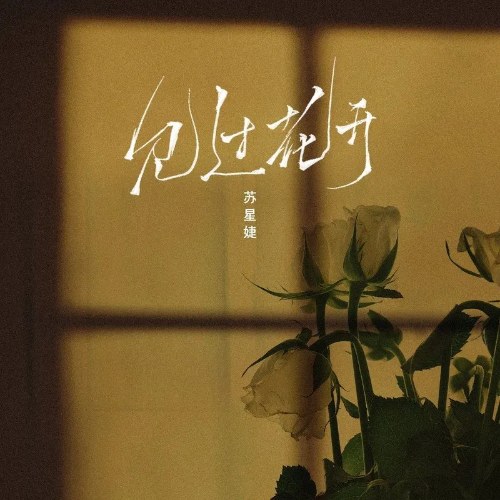 Đã Thấy Hoa Nở (见过花开) (DJAh版) (Single)