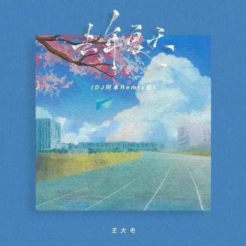 Mùa Hạ Năm Trước (去年夏天) (DJ A Trác Remix Bản / DJ阿卓Remix版) (Single)