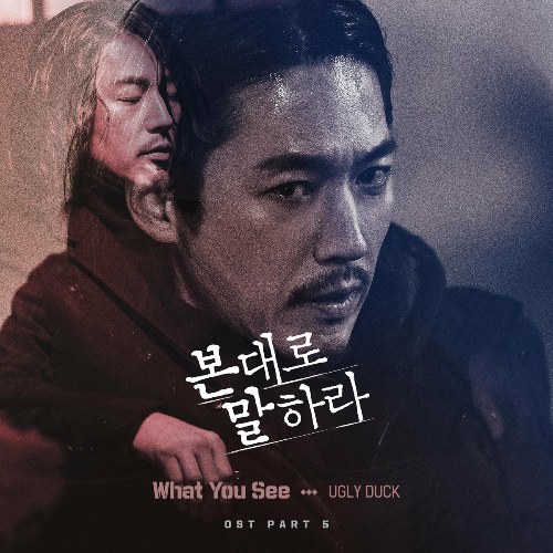 Tell Me What You Saw OST Part.5 (Single)