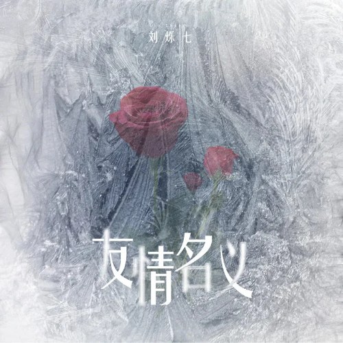Danh Nghĩa Tình Bạn (友情名义) (Single)
