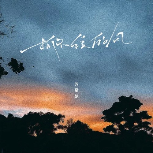 Cơn Gió Không Thể Nắm Bắt (抓不住的风) (DJAh版) (Single)