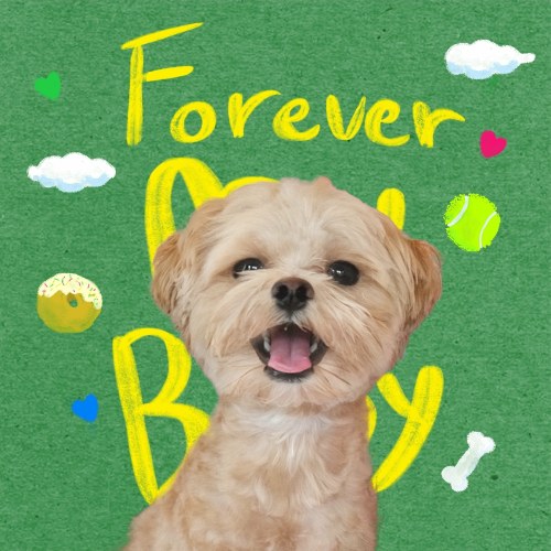 Forever My Baby (Single)
