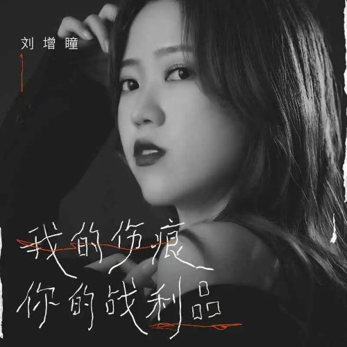 Vết Thương Của Em, Chiến Lợi Phẩm Của Anh (我的伤痕你的战利品) (Single)