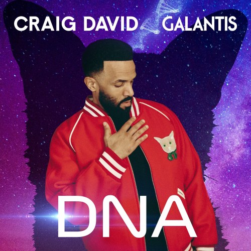 Craig David