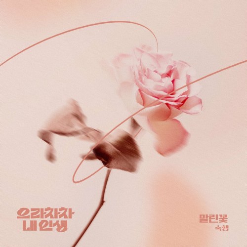 Bravo, My Life OST Part.17 (Single)