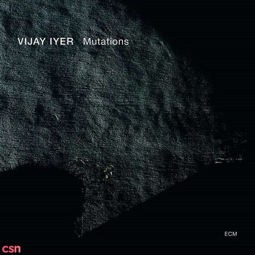 Vijay Iyer