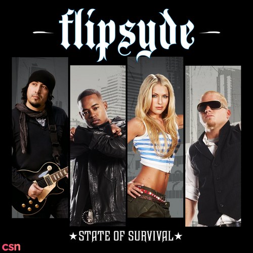 Flipsyde