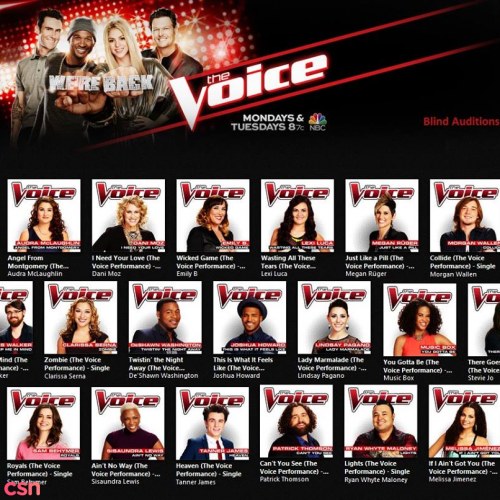 The Voice Season 6 - The Blind Auditions, Part 4