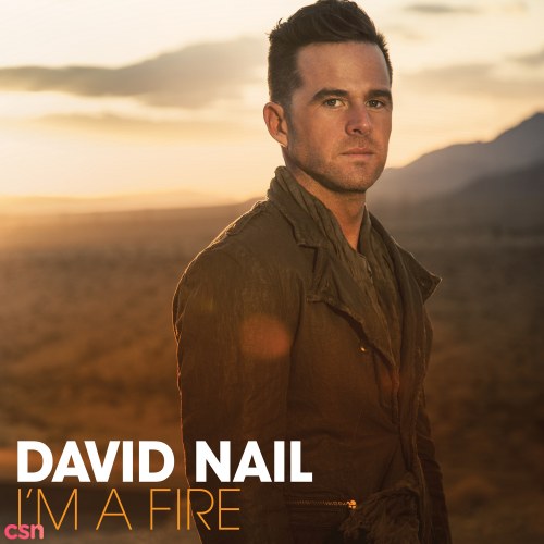 David Nail