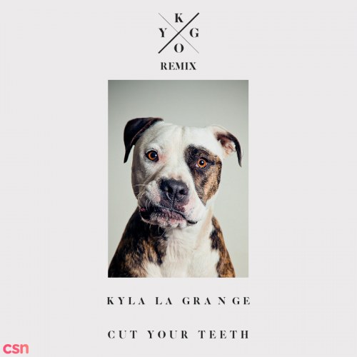 Cut Your Teeth (Kygo Remix)