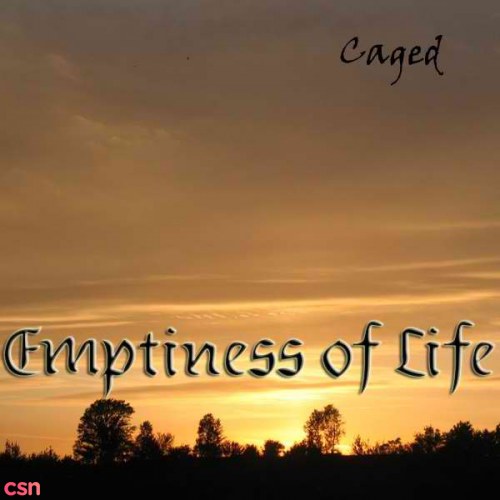 Emptiness Of Life