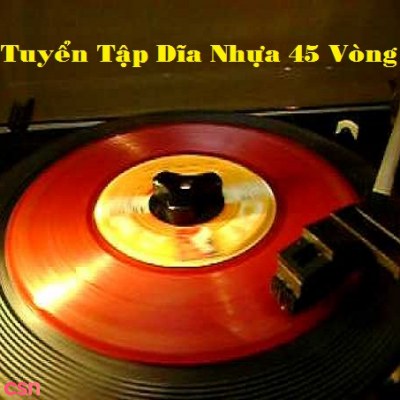 Trang Mỹ Dung