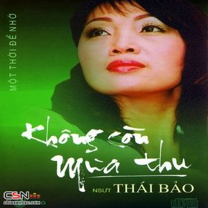 Thái Bảo