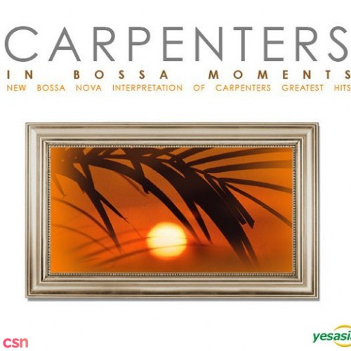 Carpenters In Bossa