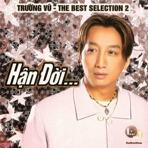 The Best Selection 2: Hận Đời