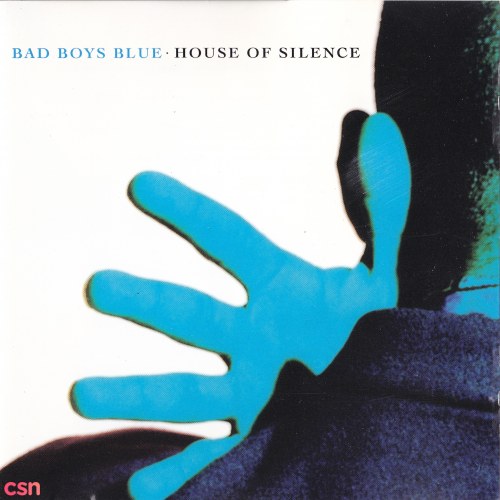 Bad Boys Blue