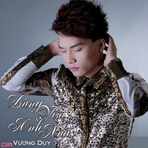 Đừng Yêu Anh Nữa (Single)