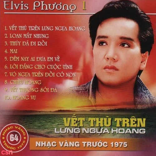 Vết Thù Trên Lưng Ngựa Hoang