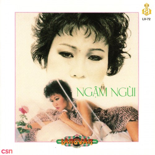 Ngậm Ngùi