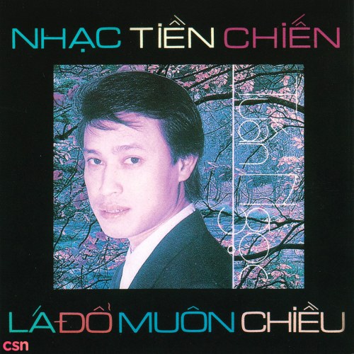 Lá Đổ Muôn Chiều