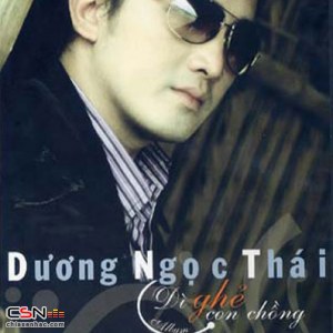 Dương Ngọc Thái