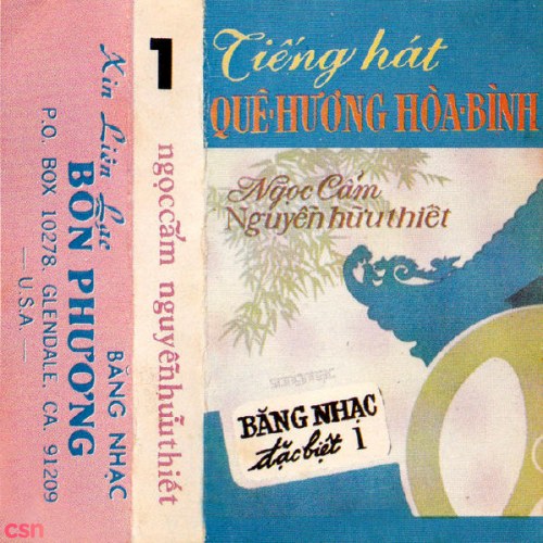 Nguyễn Hữu Thiết