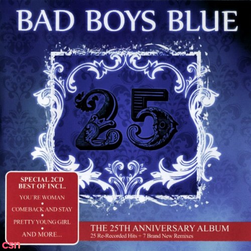 25 (The 25th Anniversary Album) CD1