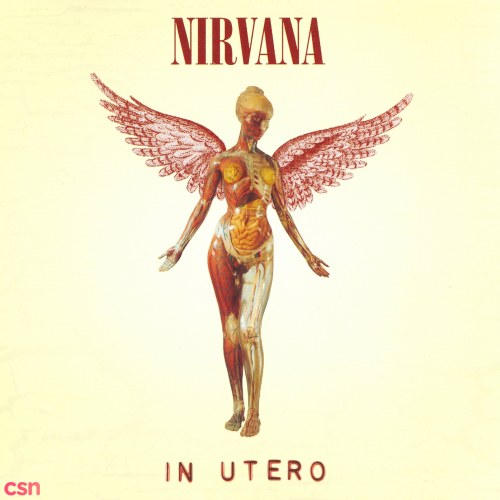 In Utero