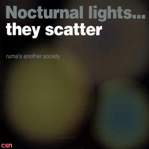 Nocturnal Lights… They Scatter