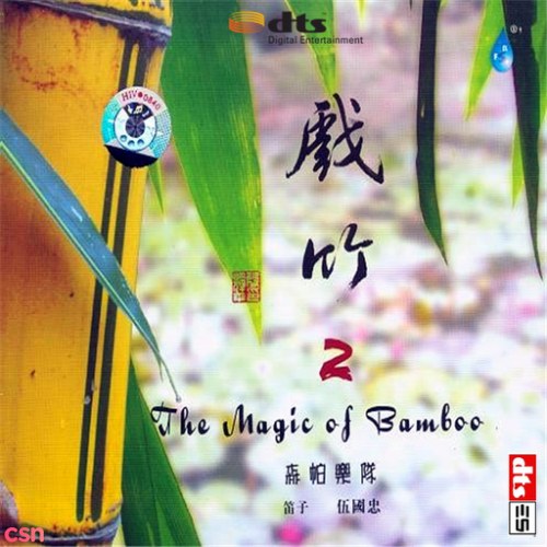 The Magic Of Bamboo