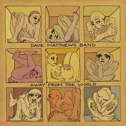 Dave Matthews Band