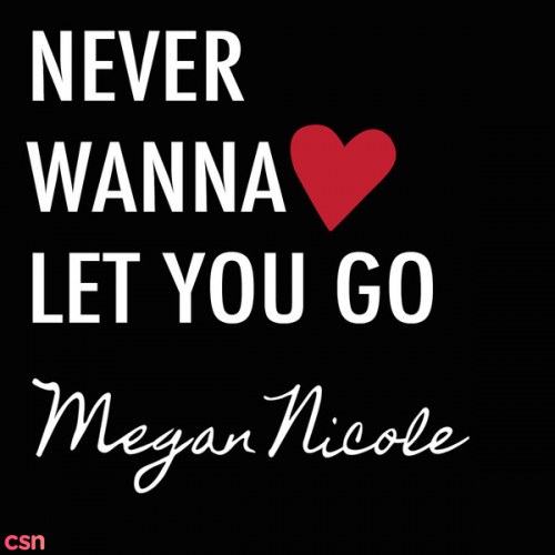 Never Wanna Let You Go (Single)