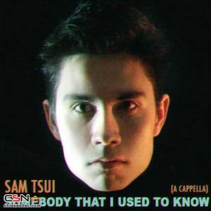 Somebody That I Used To Know (A Cappella) (Single)