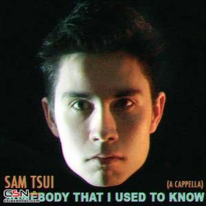 Sam Tsui