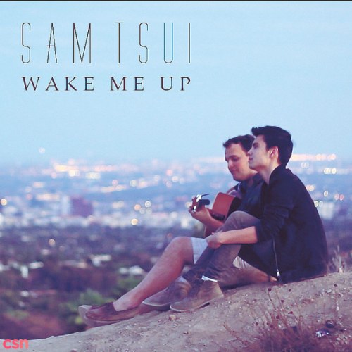 Wake Me Up (Acoustic Version) (Single)