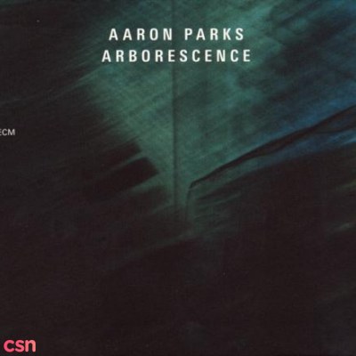 Aaron Parks