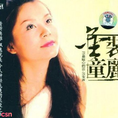 Kim Trang Đồng Lệ (金装童丽) (CD1)