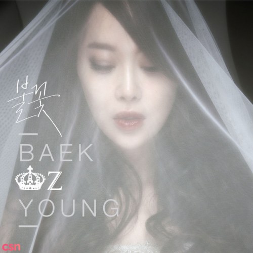 Baek Ji Young