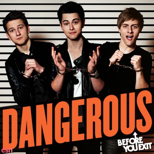 Dangerous (Single)