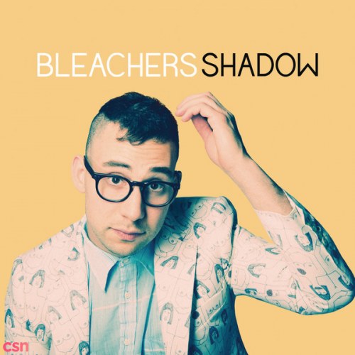 Bleachers