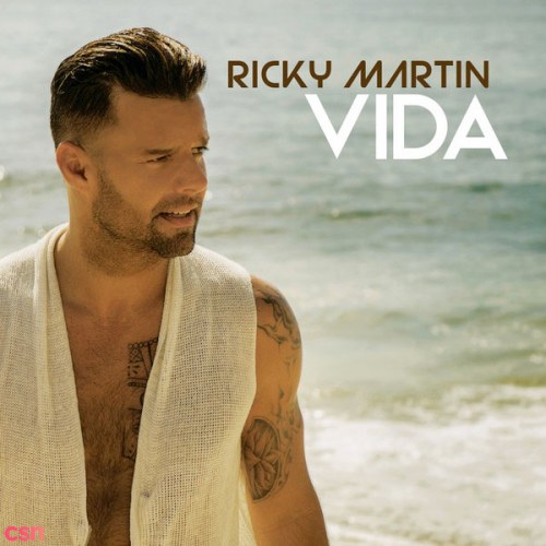 Ricky Martin