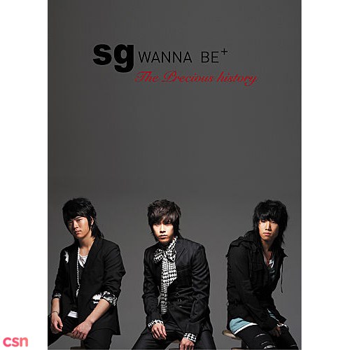 SG Wannabe