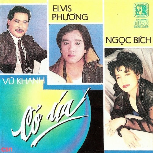 Elvis Phương