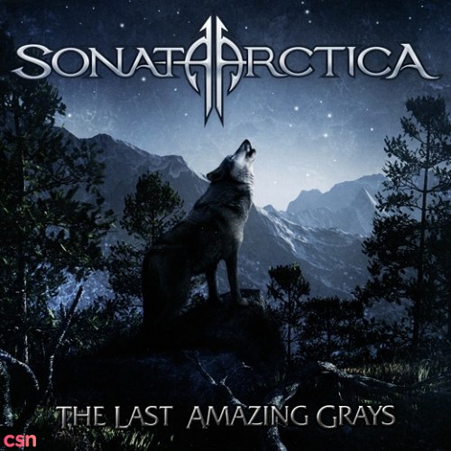 The Last Amazing Grays (Single)