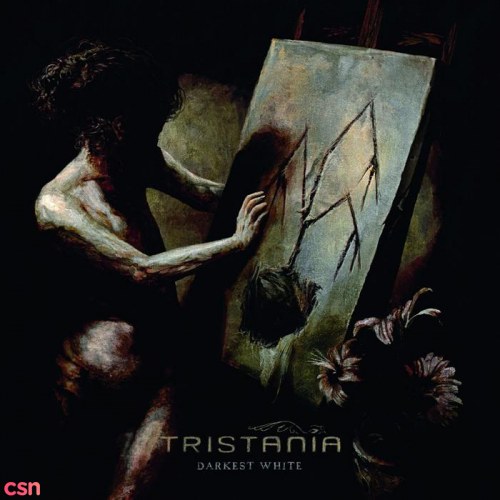 Tristania