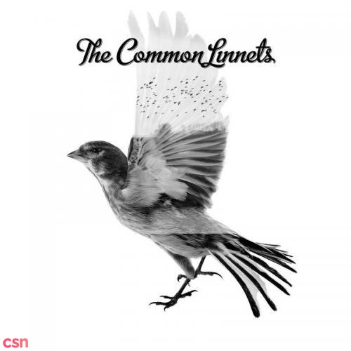 The Common Linnets