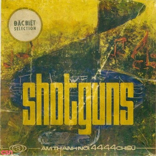 Shotguns Đặc Biệt Selection (Pre 75)